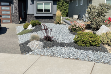 Xeriscape & Planting
